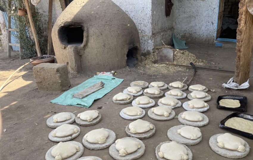 A day as an Egyptian Farmer in Luxor