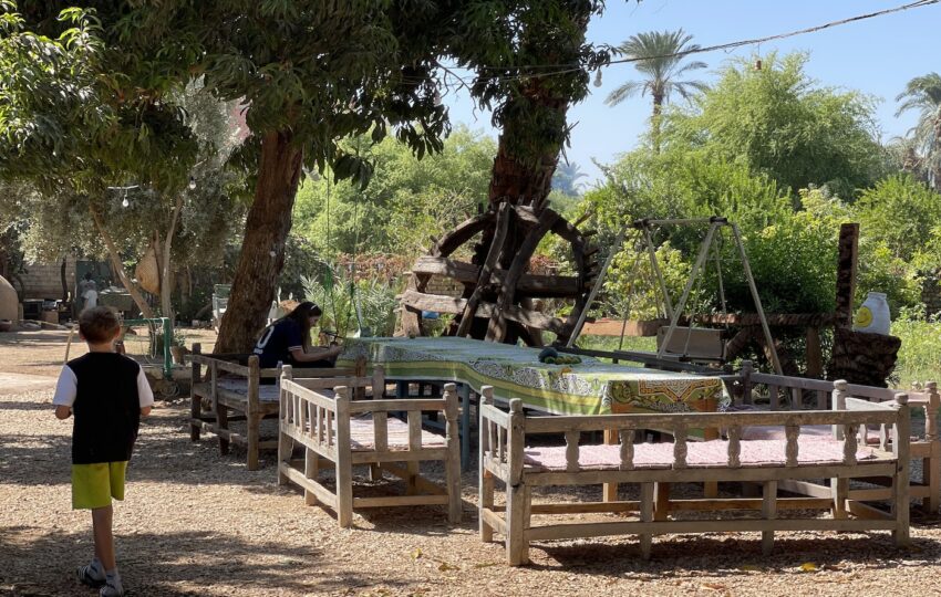 A day in an Egyptian Farm