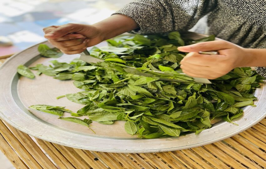 Prepare the Molokhia Soup