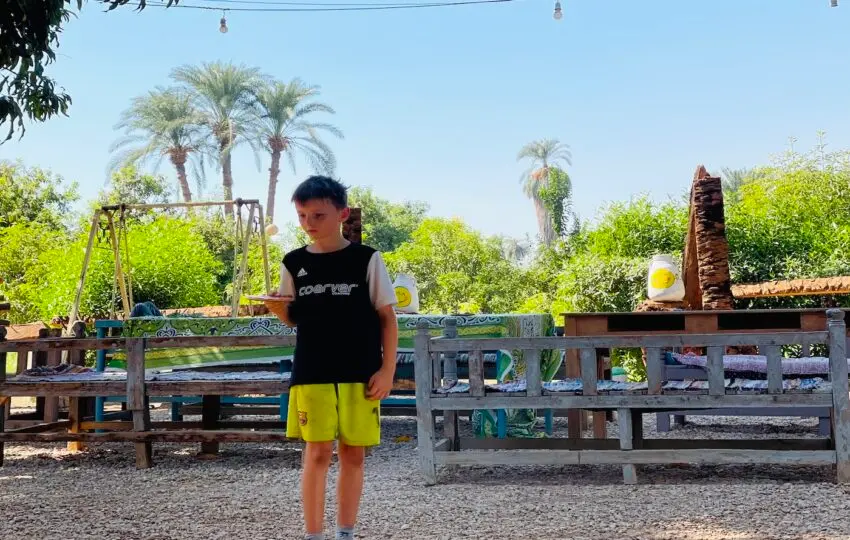 A kids friendly day in an Egyptian farm