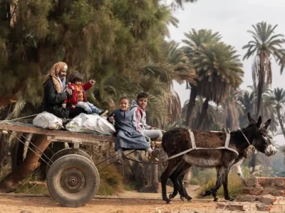 Donkeys in Upper Egypt