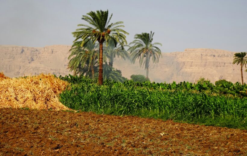 A Soulful Expedition as an Egyptian Farmer in Luxor