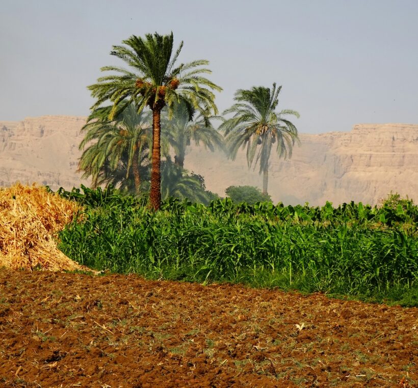 A day as an Egyptian Farmer in Luxor