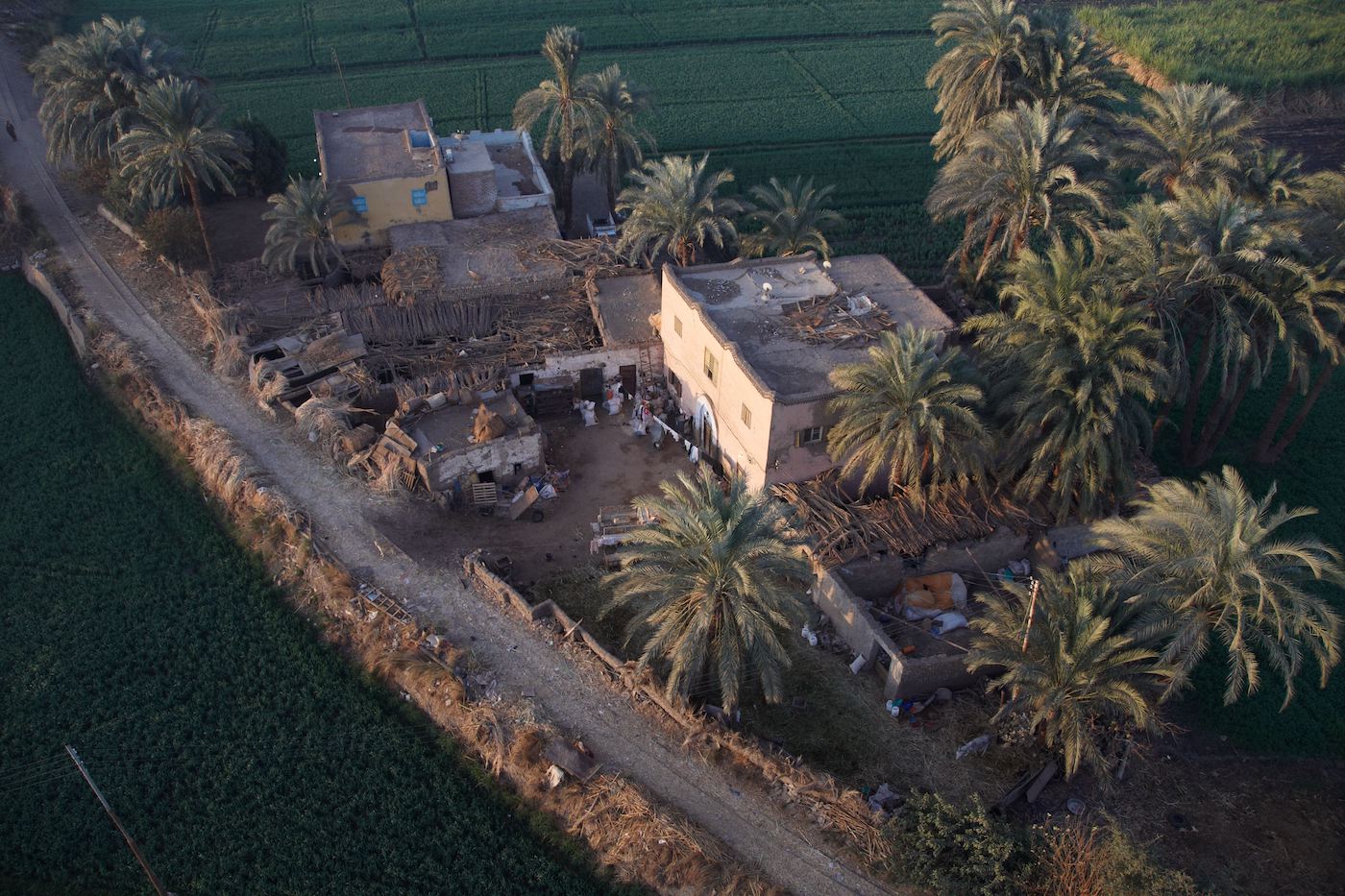 Egyptian Farmer