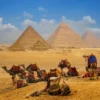 Tours of the Pyramids in Egypt