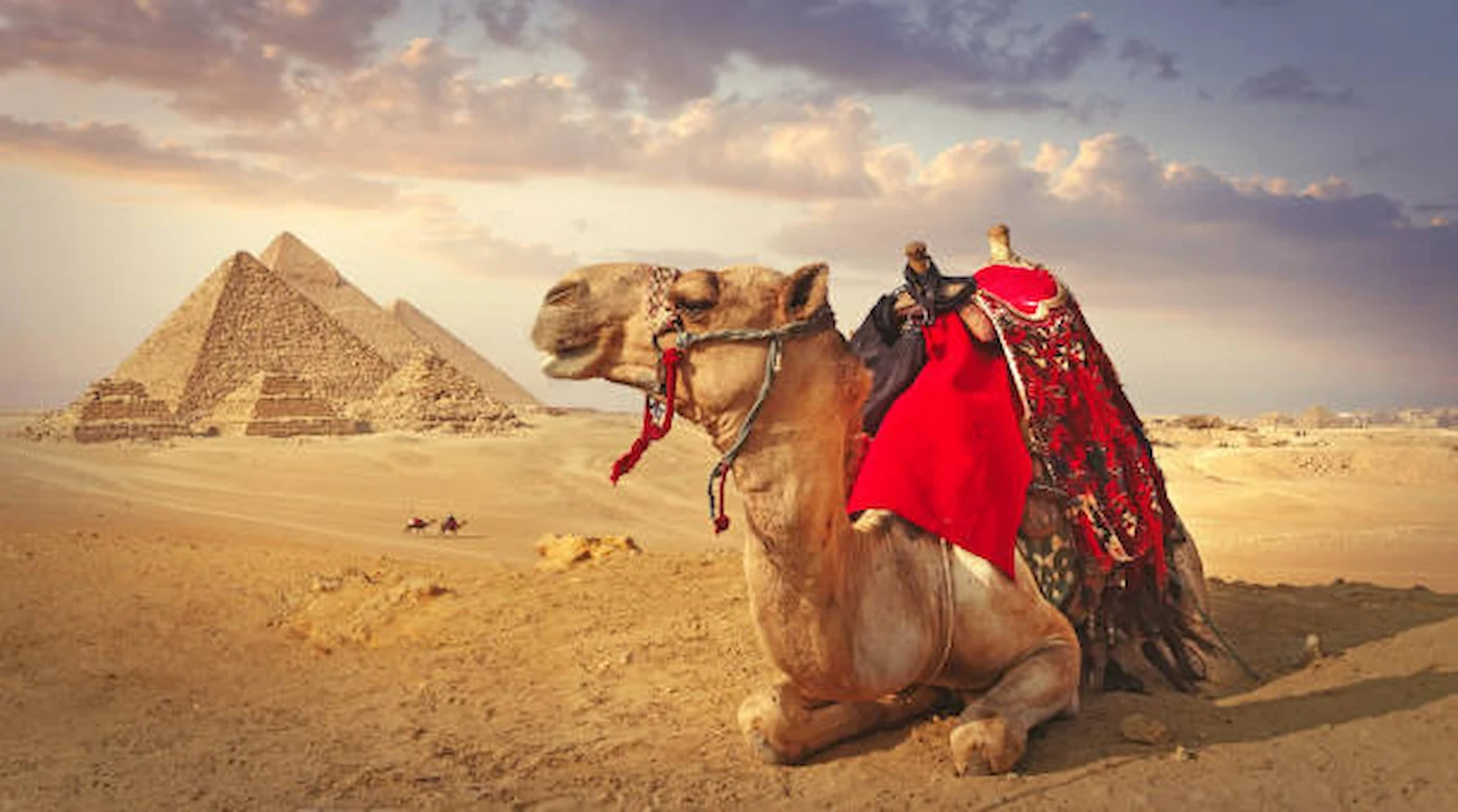 Family Friendly Egypt Tour Packages 2026 | Plan Your Trip