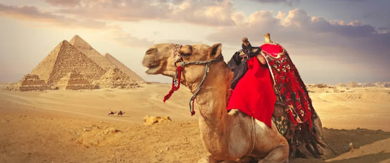 Egypt Travel Tour Packages