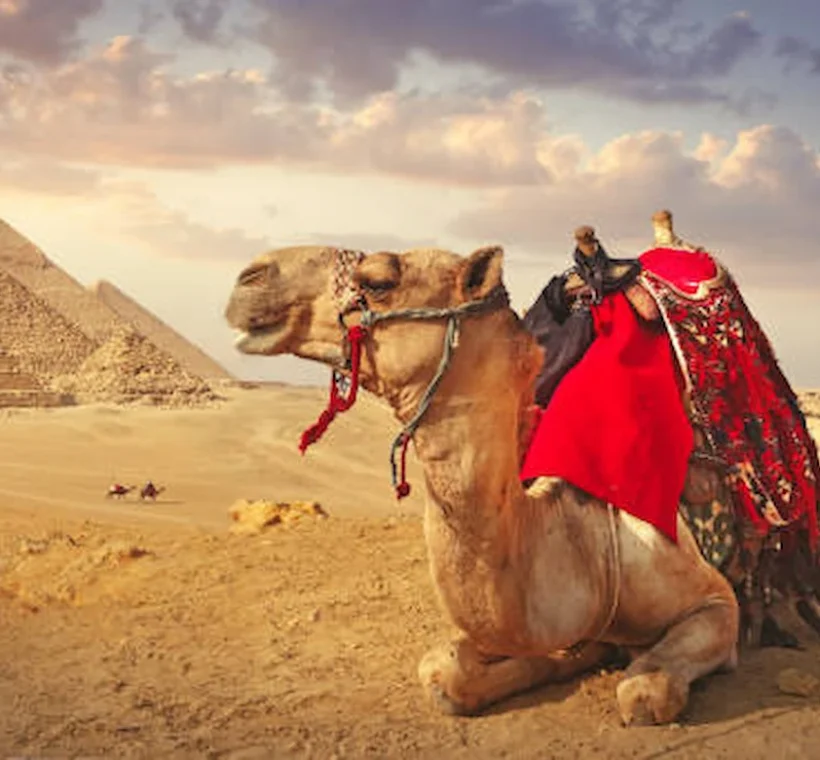 Egypt Travel Tour Packages