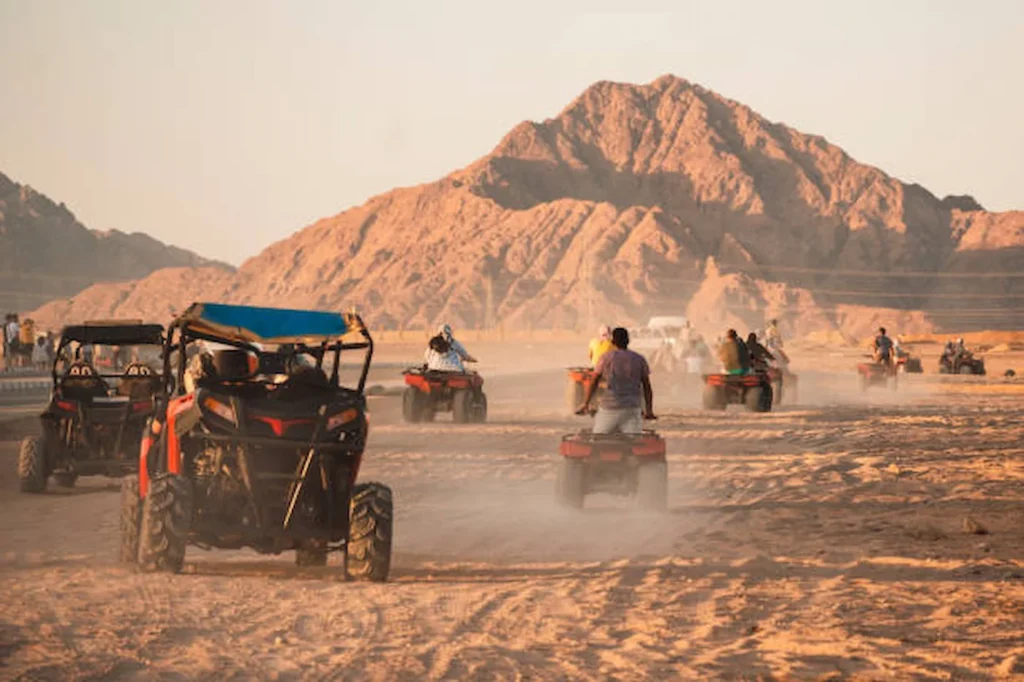 Egypt Safari Tour 