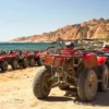 Egypt Safari Tour