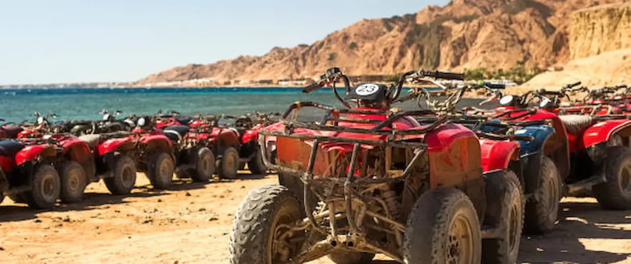 Egypt Safari Tour