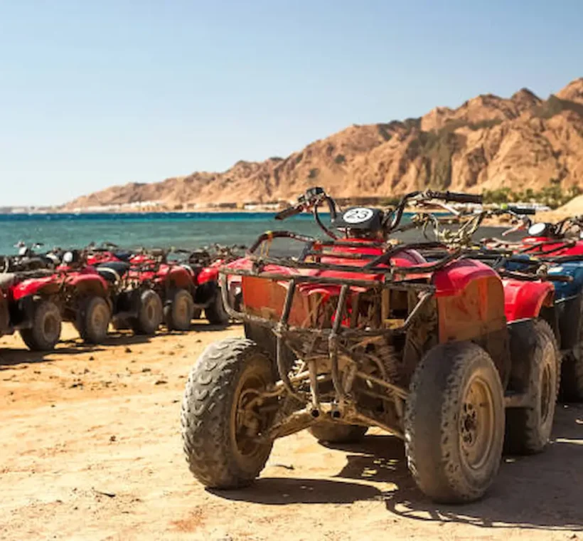 Egypt Safari Tour