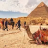Cairo Pyramids and Museum Tour