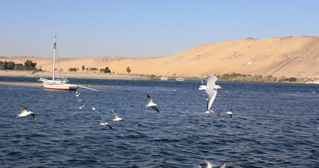 Nile River near Aswan HIgh Dam Egypt with desert dunes and a traditional sailboat