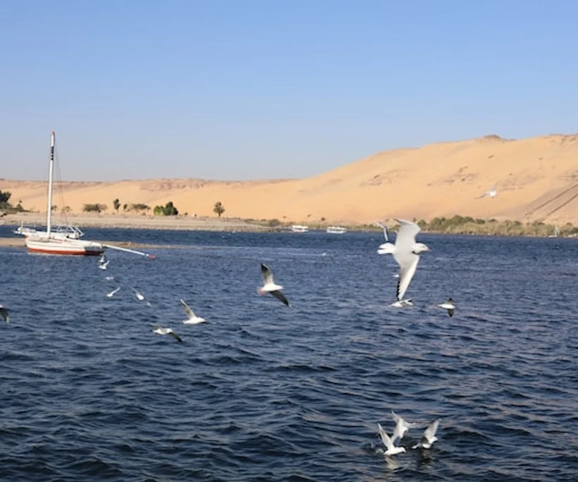 Nile River near Aswan HIgh Dam Egypt with desert dunes and a traditional sailboat