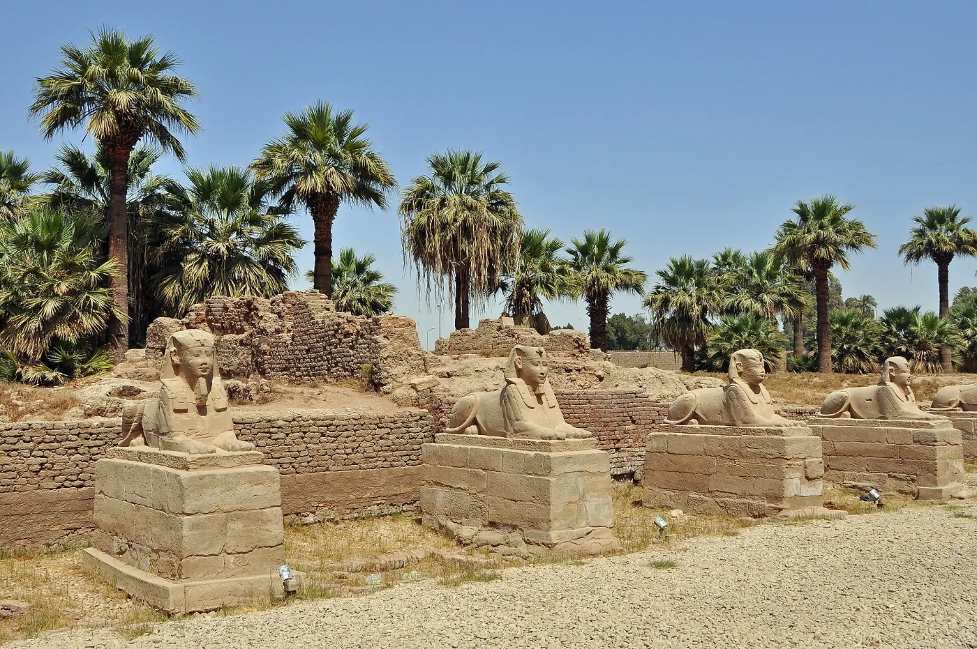 Walking the Avenue of Sphinxes that once linked Karnak with Luxor Temple