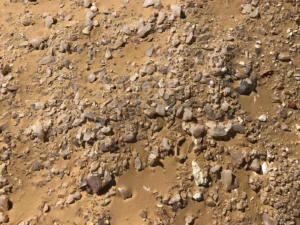 Gallery Thumbnail 2