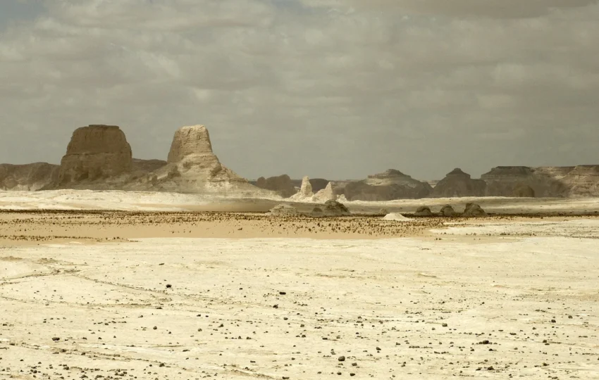 Wind-carved karst shapes across the White Desert plateau