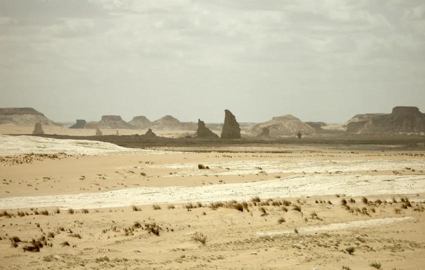 Chalk formations rising out of the sand on the white desert tour