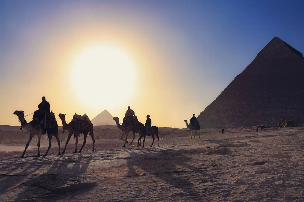 New Year in Egypt and Christmas in Egypt: camels and a Giza pyramid against a low winter sun