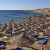 Palm-fringed beach with umbrellas in Sharm El Sheikh