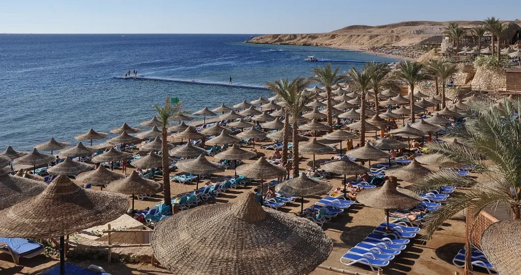 Palm-fringed beach with umbrellas in Sharm El Sheikh