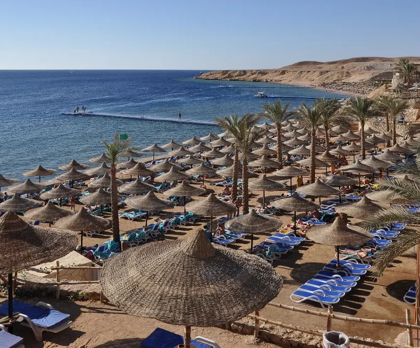 Palm-fringed beach with umbrellas in Sharm El Sheikh