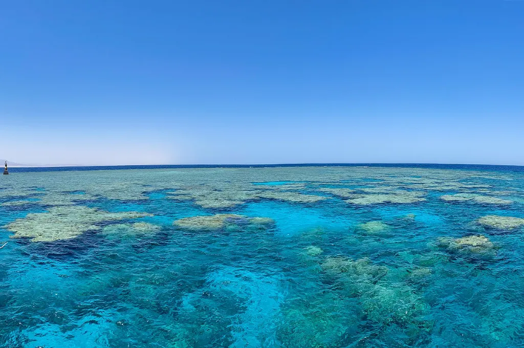 Clear turquoise Red Sea reef near Safaga, a bright water view for warm Christmas vacations in Egypt